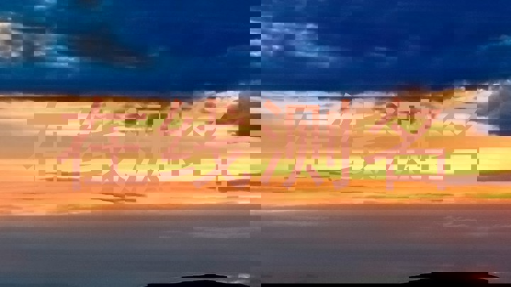 在线测名