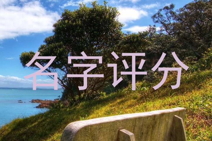 名字评分