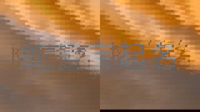 蛇年
