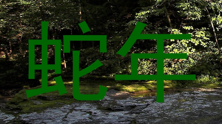 蛇年