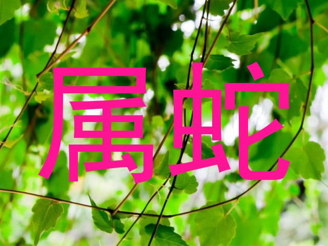属蛇