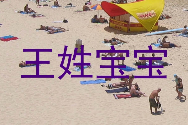 王姓宝宝