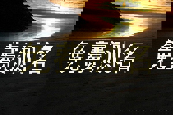 免费测名
