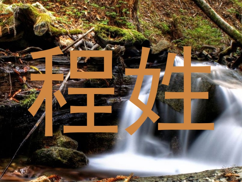 程姓