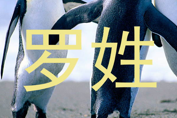 罗姓