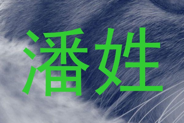 潘姓