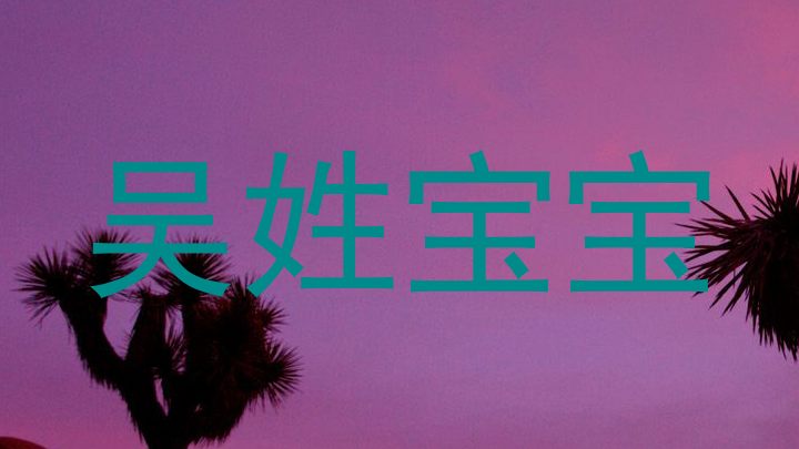吴姓宝宝