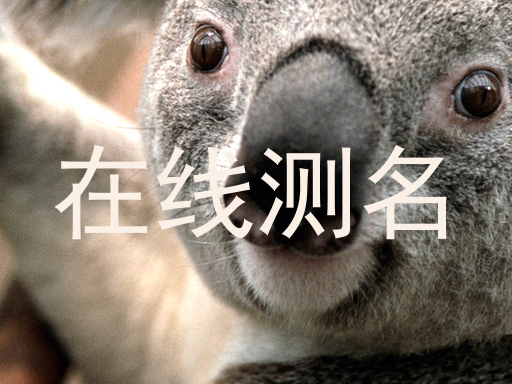 在线测名
