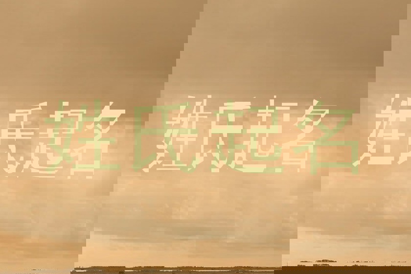 姓氏起名