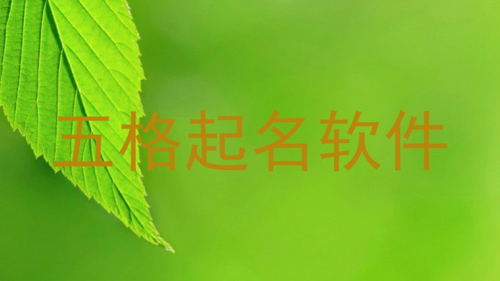 五格起名软件