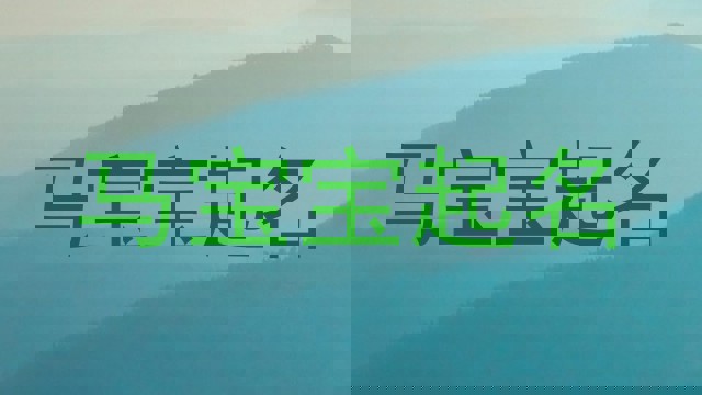 马宝宝起名