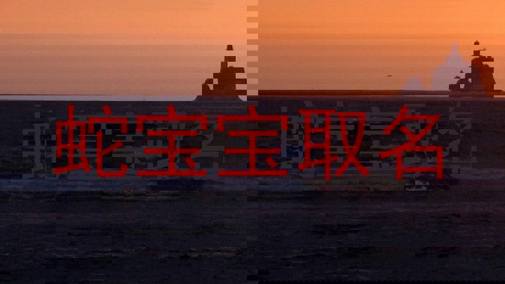 蛇宝宝取名