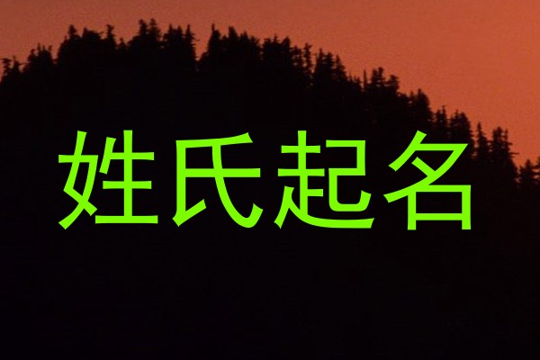 姓氏起名