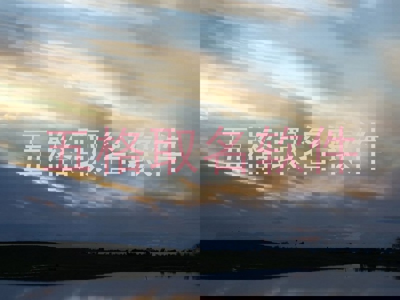 五格取名软件