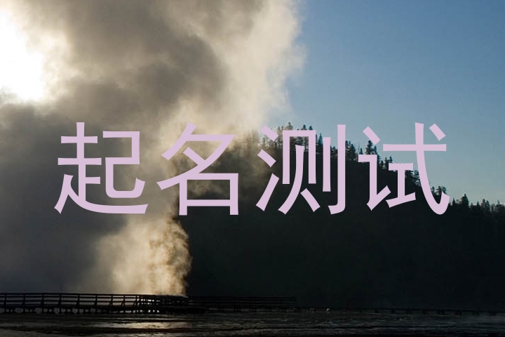 起名测试