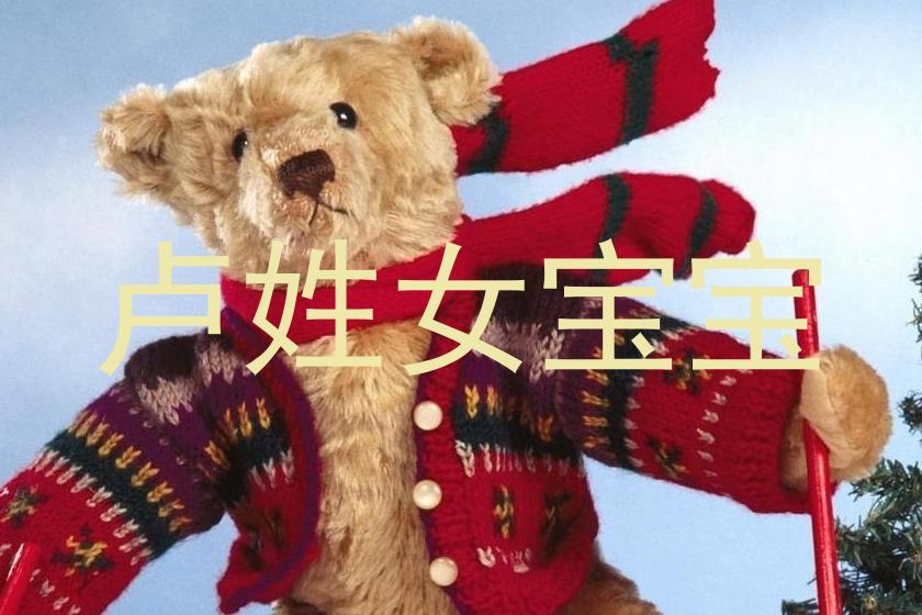 卢姓女宝宝