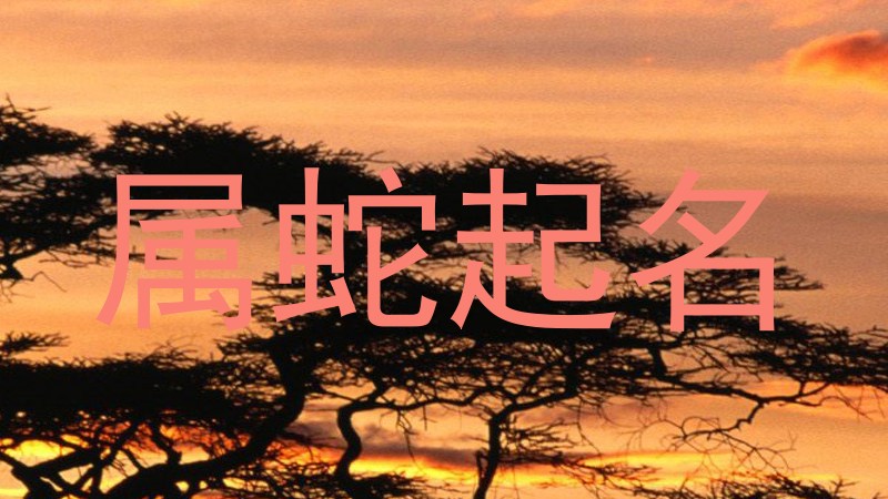 属蛇起名