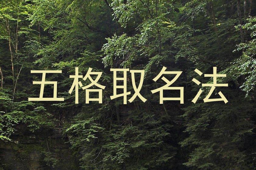 五格取名法