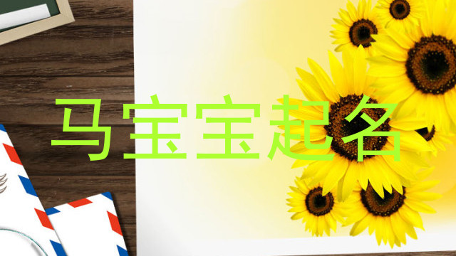 马宝宝起名