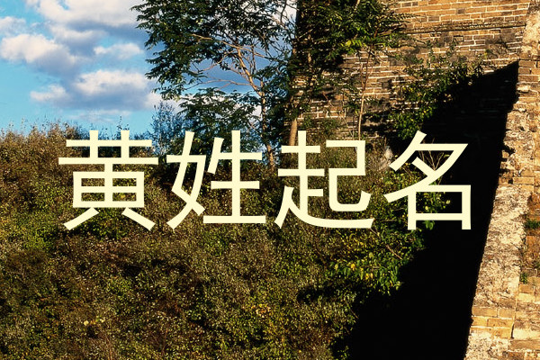黄姓起名