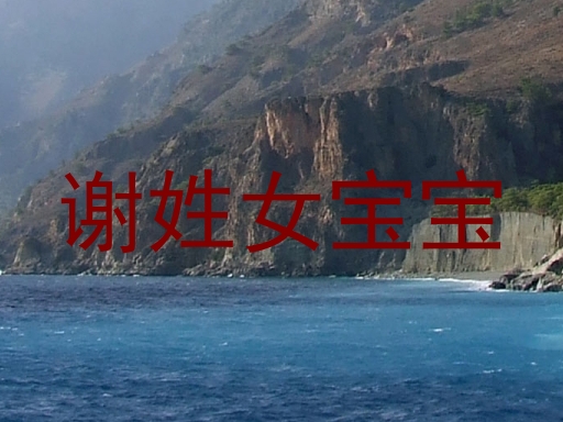 谢姓女宝宝