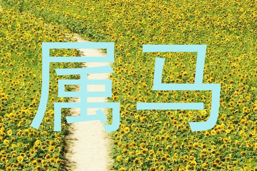 属马