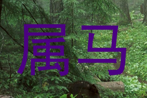 属马