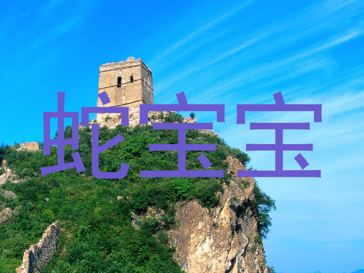 蛇宝宝