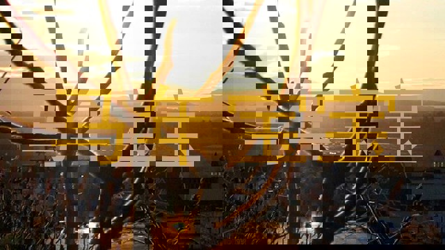 马年宝宝