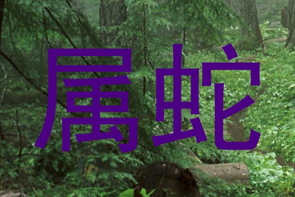 属蛇