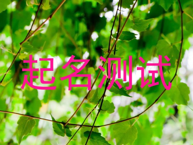 起名测试