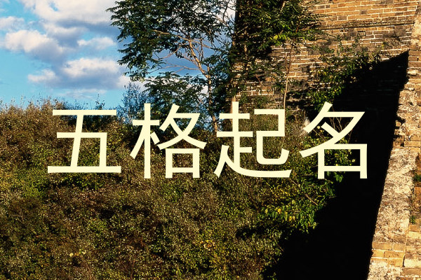 五格起名