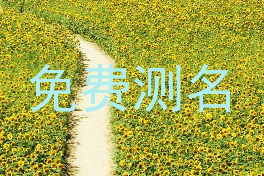 免费测名