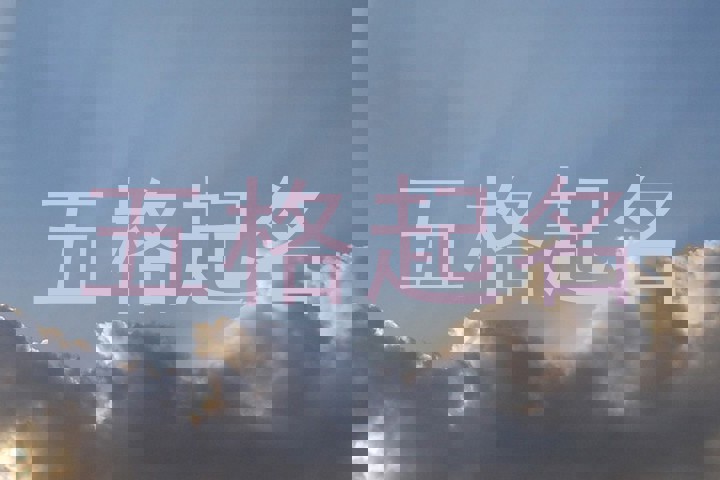 五格起名