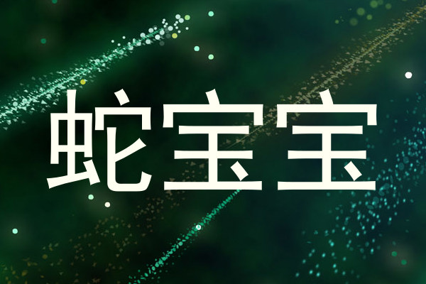 蛇宝宝