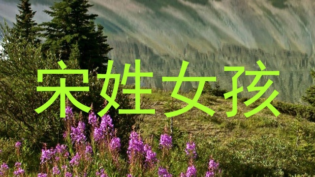 宋姓女孩
