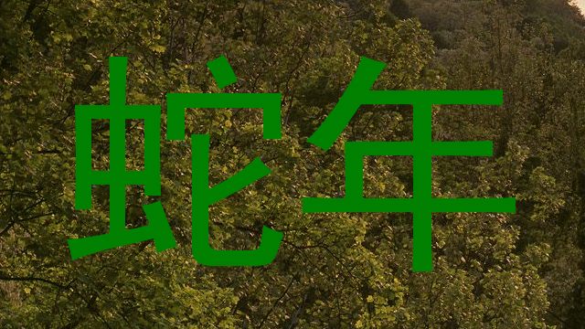 蛇年