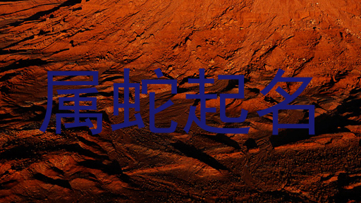 属蛇起名
