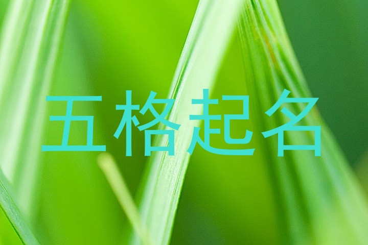五格起名