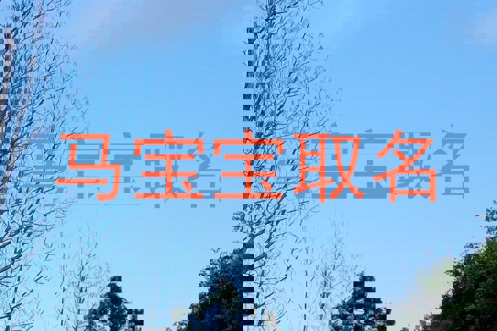 马宝宝取名