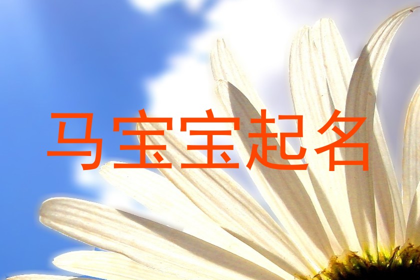 马宝宝起名