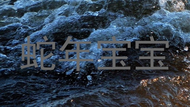 蛇年宝宝