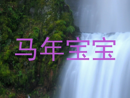 马年宝宝