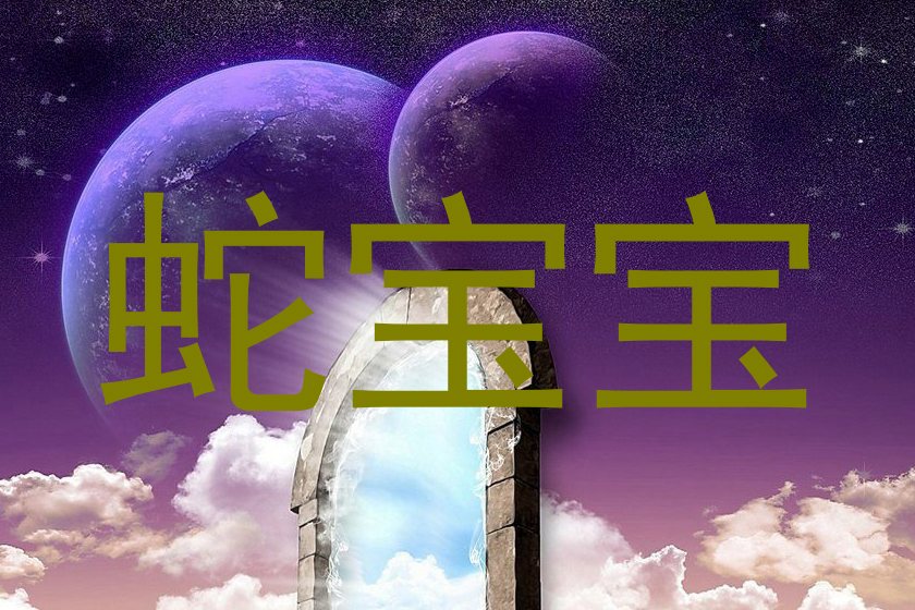 蛇宝宝