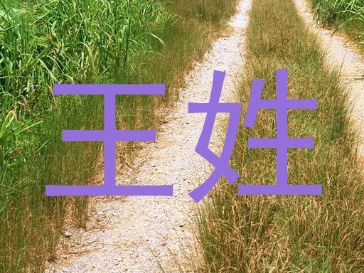 王姓