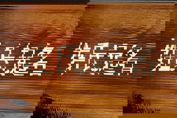 姓氏起名