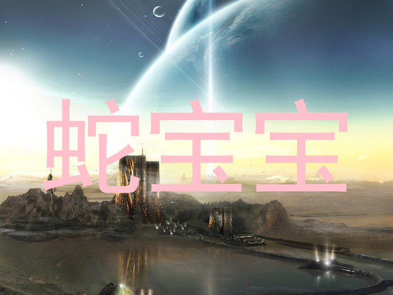 蛇宝宝