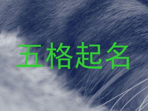 五格起名