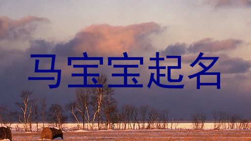 马宝宝起名