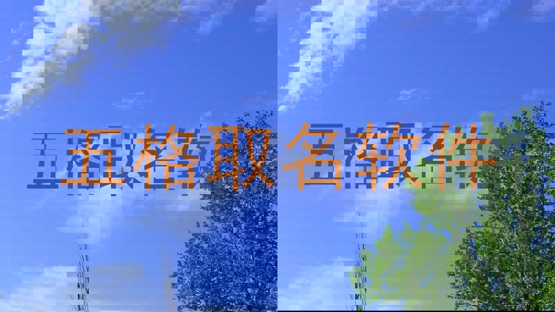 五格取名软件